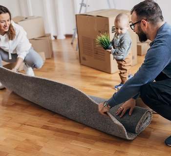 Guides - how to rent - Pittis