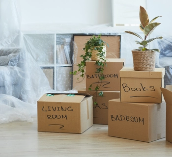 Guides - cost of sale - Pittis