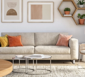 Guides - renting out a property - Pittis