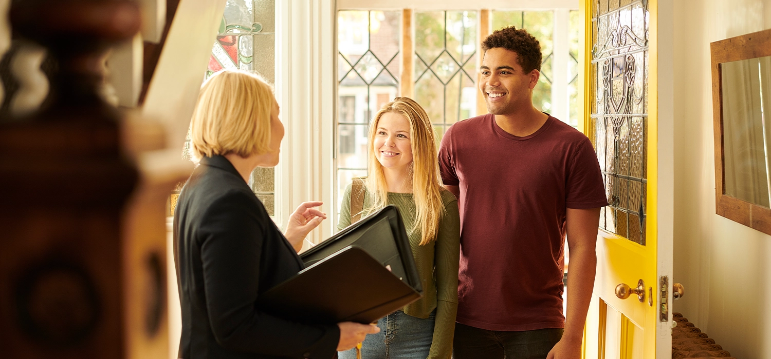 about pittis - Pittis