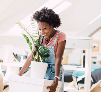 Guides - steps to sale - Pittis